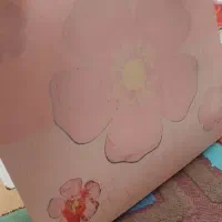 آکروپال شیشه ای قیمت یه پفک|حراج|قم, شهر قائم|دیوار