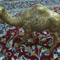 سلام سه تامجسمه شترفیل بزرگ سنگی