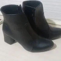 کفش نیم پوت وکفش مجلسی پاشنه دار|کیف، کفش، کمربند|تربت جام, شاهد|دیوار