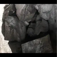 بلوطی|عمدهفروشی|مسجد سلیمان, |دیوار