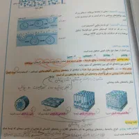 کتاب کار زیست شناسی دهم|کتاب و مجله آموزشی|مشهد, شهید هاشمی نژاد|دیوار