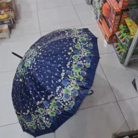 چتر