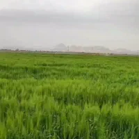 تور ،طبیعت گردی در روستای گردشگری سردر
