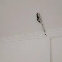 رنگ آمیزی ساختمان ولکه گیری گچ