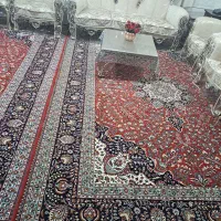 فروش فرش|فرش|دامغان, |دیوار
