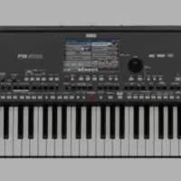 ارگ کرگ pa600|پیانو، کیبورد، آکاردئون|اسلامشهر, شهرک واوان|دیوار