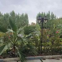 تهاتر ویلا کرج با آپارتمان در کیش|فروش آپارتمان|کیش, |دیوار