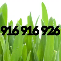 خط رند (خطوط خاص)