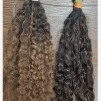 موی طبیعی و رنگ شده به قیمت بالا