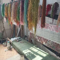 فرش نیمه کاره قالیچه نقشه سالاری|فرش|تبریز, |دیوار