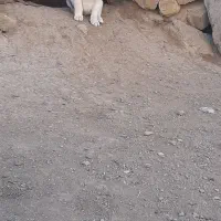 سرابی