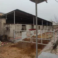 اجاره پانسیون اسب