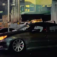 206 ماشین استسنایی|خودرو سواری و وانت|فردیس, شهرک سپاه|دیوار