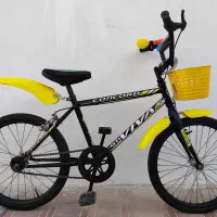 دوچرخه ۲۰ درحد..