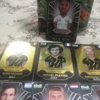 وینی سیلور لیمیتد