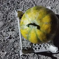 واسه آخرهفته گردشگری