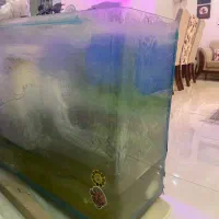 اکواریوم|ماهی|کن, |دیوار