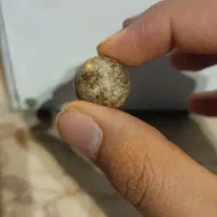 سنگ آسیاب