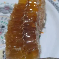 عسل ۱۰۰درصد خالص|خوردنی و آشامیدنی|رشت, پارک شهر|دیوار