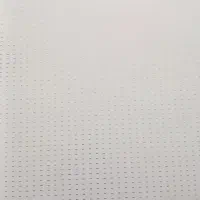 صقف کاذب
