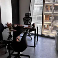 ادیتور حرفه ای