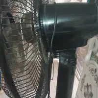 پنکه ایستاده نو|پنکه و تصفیهکنندهٔ هوا|آبادان, |دیوار