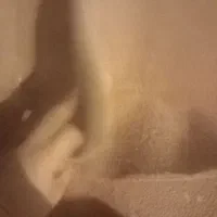 موکت