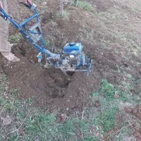 تیلر زنی وشخم زنی|خدمات باغبانی و درختکاری|دینور, |دیوار