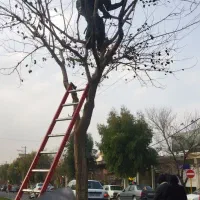 باغبانی..انجام کلیه کارهای باغبانی