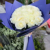 دسته گل ۲۰ شاخه ای رز فقط ۶۹۰ و ۷۹۰|گل و گیاه طبیعی|شیراز, خلدبرین|دیوار