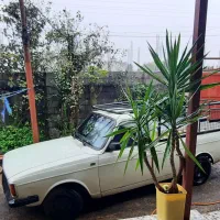 وانت پیکان ۸۴ بی‌رنگ سالم