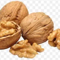 فروش گردو اقلید