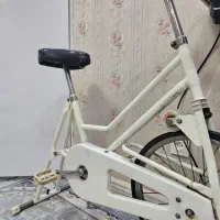 دوچرخه ورزشی|تجهیزات ورزشی|رشت, اسماعیل آباد|دیوار