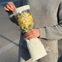 نرگس ( رایگان )|گل و گیاه طبیعی|مشهد, هفت تیر (حافظ)|دیوار