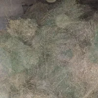 یونجه خشک