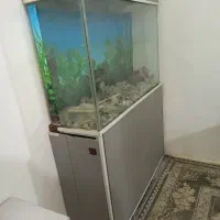 آکواریوم