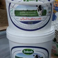 سطل