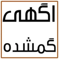 کیف پول قهوه ای مشکی گم شده