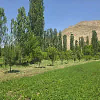 فروش زمین ۱۴۵۰ متری در فیروزکوه شهر ارجمند|فروش زمین و ملک کلنگی|تهران, هاشم‌آباد|دیوار