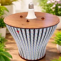 لامپ مگا طلایی ۳۰۰ وات 1 سال گارانتی