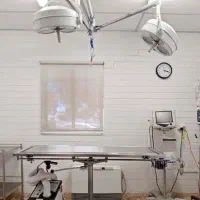 مرکز تخصصی عقیم سازی سگ و گربه حمایتی