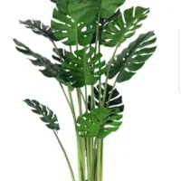 درخت مصنوعی|گل مصنوعی|بندر کنگان, |دیوار