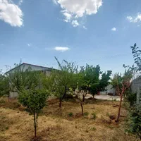 اجاره باغ ویلاروزانه جاده باغرود(فوتبال دستی|اجارهٔ کوتاه‌مدت ویلا و باغ|نیشابور, باغرود|دیوار