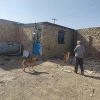 دامداری ۱۲۵۰متراژ|فروش زمین و ملک کلنگی|مشهد, شهرآباد|دیوار