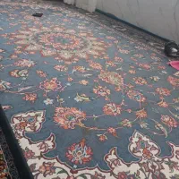 گلیم|گلیم، جاجیم، گبه|اقبالیه, |دیوار