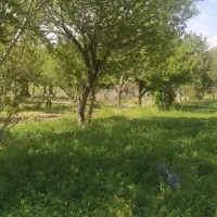 کار در منزل