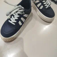 کفش|کیف، کفش، کمربند|تربت‌حیدریه, مظفریه|دیوار