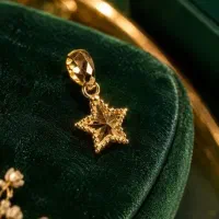 ادمین طلا فروشی هستم