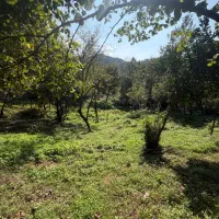 زمین جیر گوابر