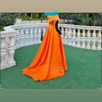 لباس مجلسی.دنباله دار.یکبار پوشیده شده.|لباس|آبیک, |دیوار